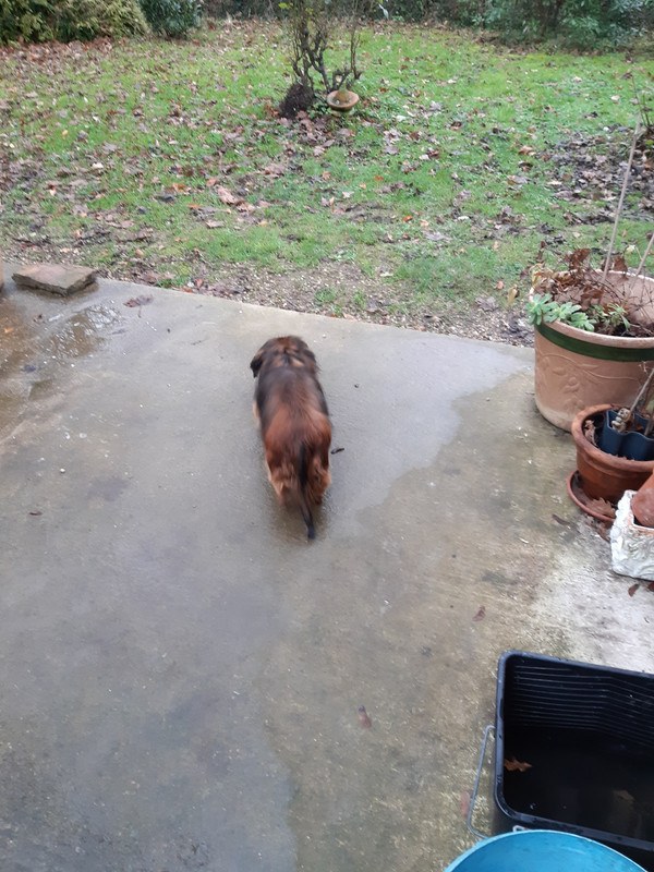 [Image: 20231204-112253.jpg]