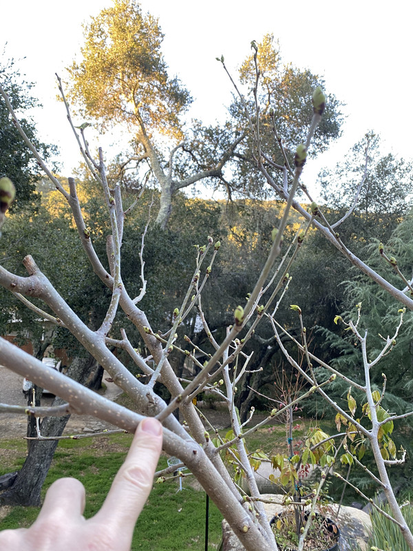 A4BA9FB8-DFF2-48AB-9541-597FE98F1F8C