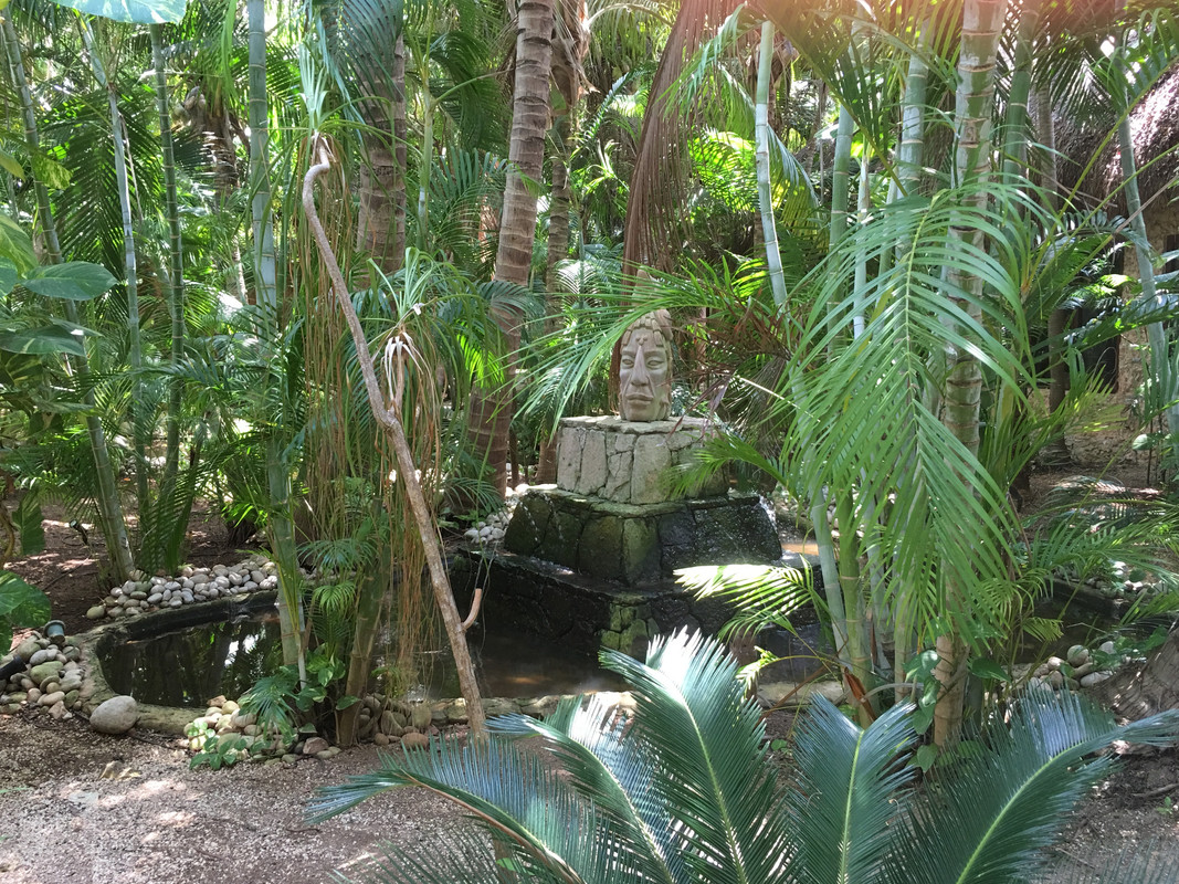 Restaurantes en Riviera Maya: comer fuera del hotel - Foro Riviera Maya y Caribe Mexicano