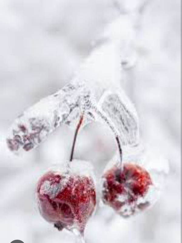 Screenshot_20221125-001847_Chrome