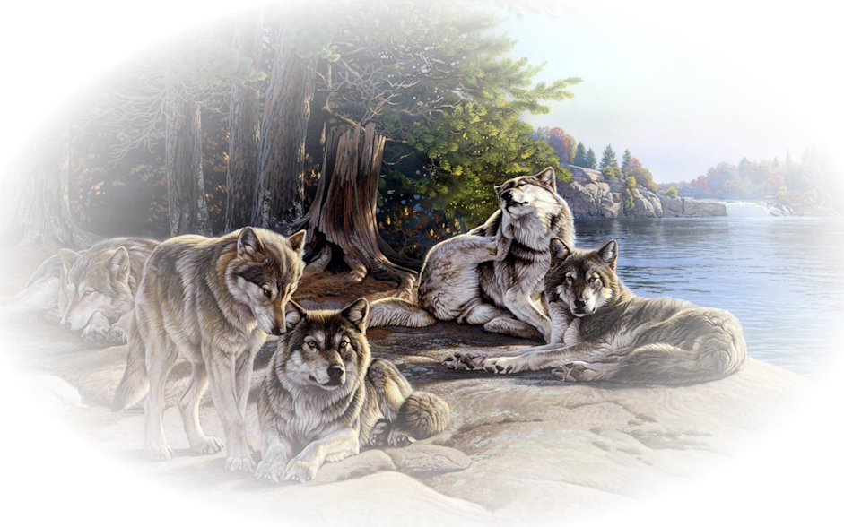 Siempre Libre & Glitters y Gifs Animados Nº349 - Página 6 Wolfs2-Mika