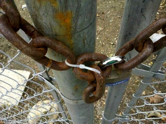 16164748.515043.7235