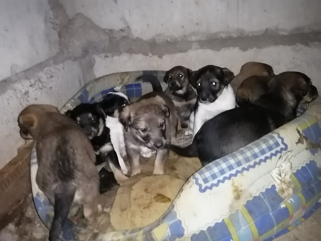 B3611585-4F75-494A-A03B-5B5EBB10029E