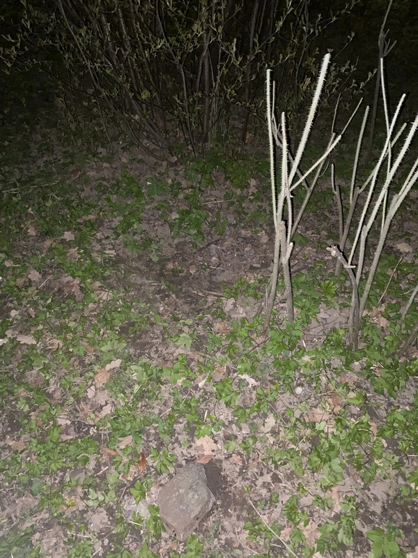 IMG 20260421 004051 196