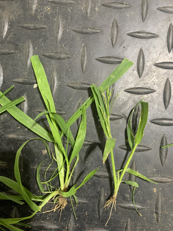 56411419-7528-4149-A5E9-55BB4AADBE79