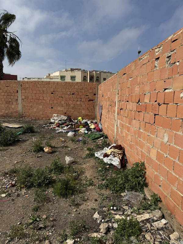 639892217-1517923463223851-4027368657222431624-n