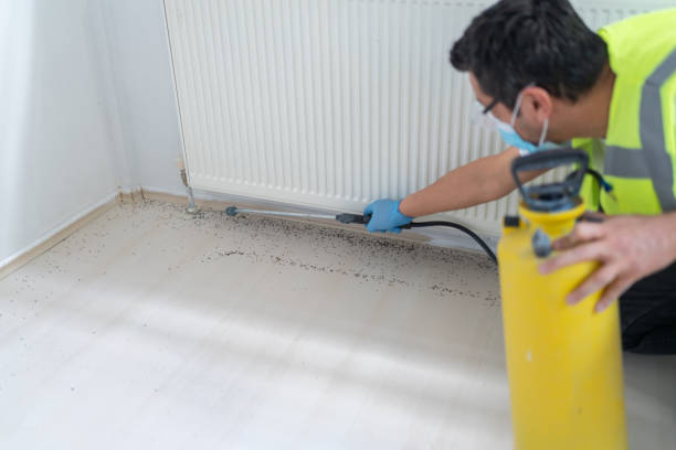 pest-control-5.jpg