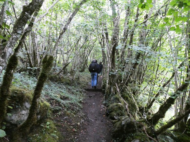 10 días por Irlanda en verano de 2024 - Blogs de Irlanda - DÍA 7 – Parque Nacional El Burren – Lisdoonvarna – Acantilados Moher (6)