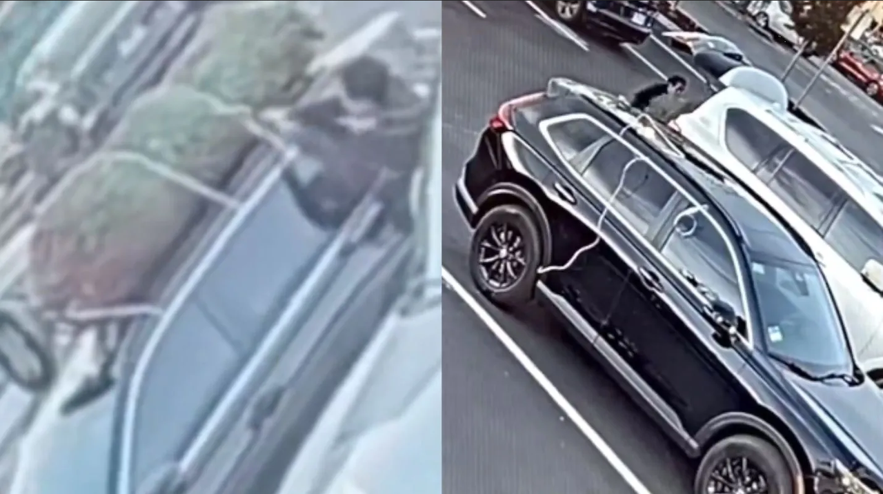 Hombre roba árbol de Navidad de camioneta en California