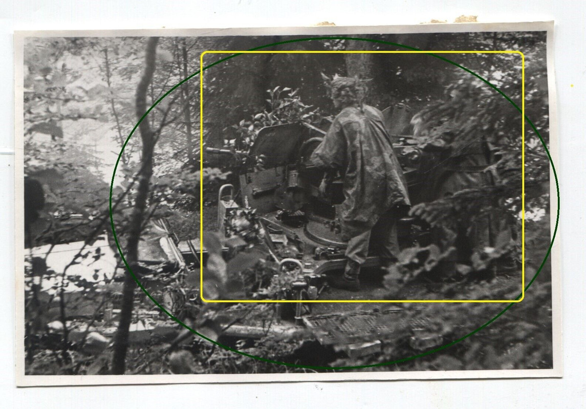FOTO Panzer Halbkette Flakgeschütz in Wald Stellung3