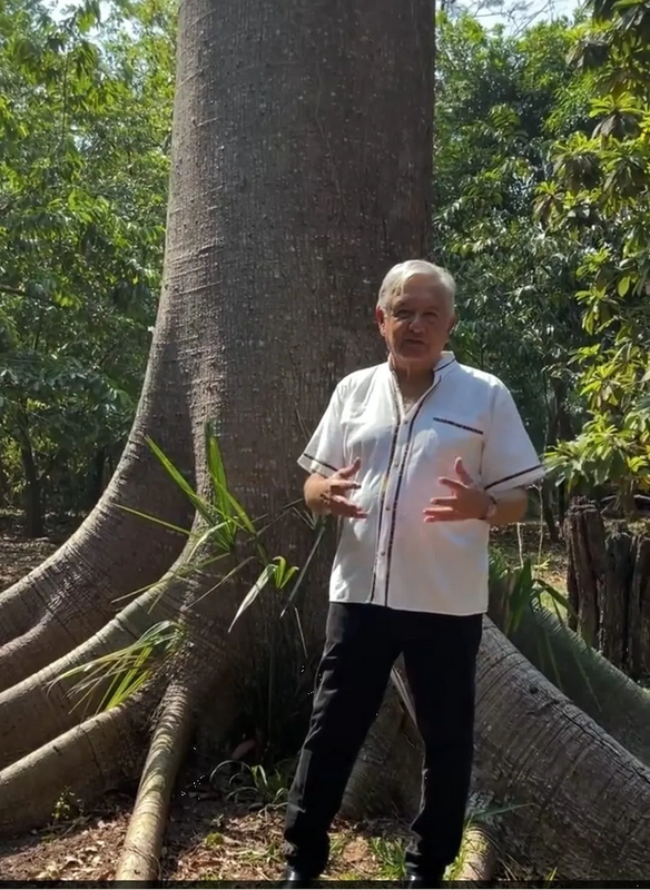 AMLO deja su finca en Palenque, regresa a Cdmx; insiste en que Las Mañaneras continuarán