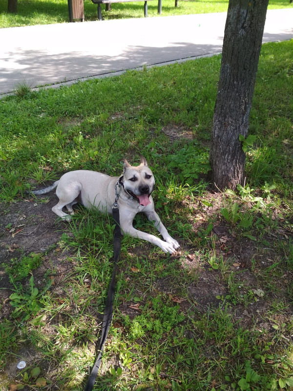 B93A4E74-2E69-4479-9FD5-C8DAF31EE971