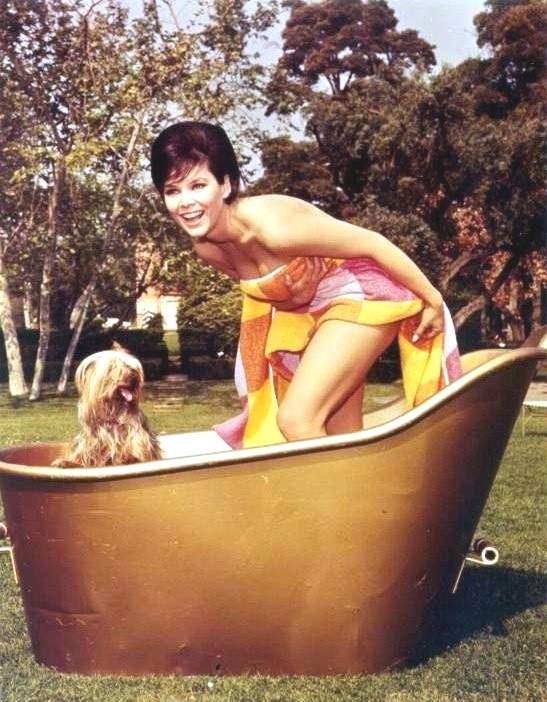 yvonne_craig_028