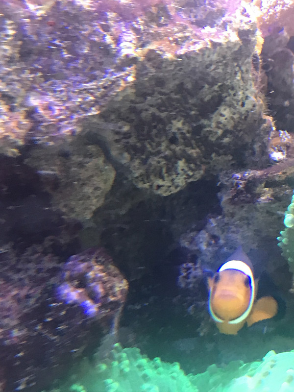 3F939E0C-0747-4568-A6B3-C3332337DBDF