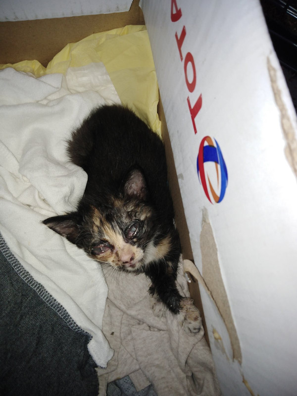 16AA48A7-43AB-49C5-8DCD-E082A80C9AE6