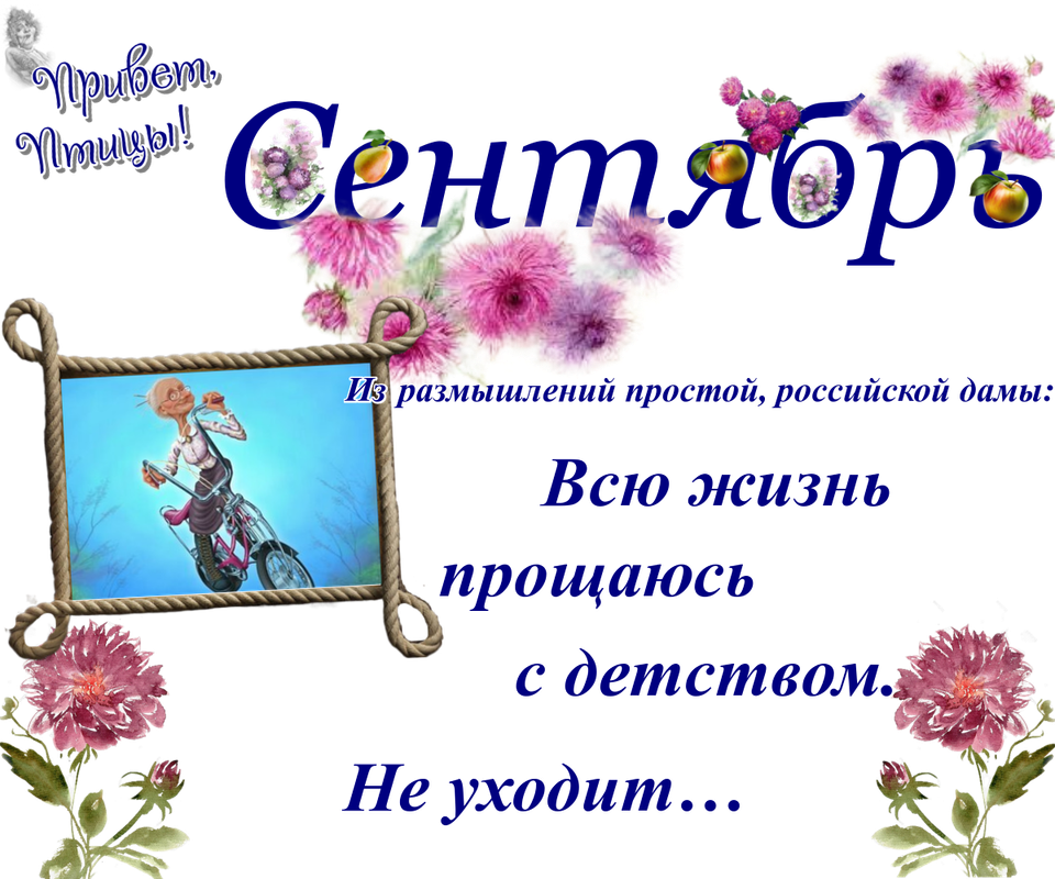 https://i.postimg.cc/X7GBw0Z6/15-09.png