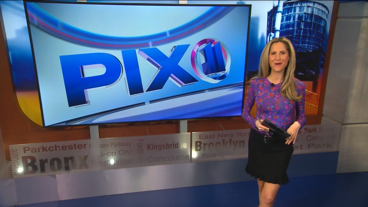 07.30 - 03.00.00 - PIX11 News at 10 with Tamsen Fadal and Kori Chambe....ts_snapshot_01.37.936