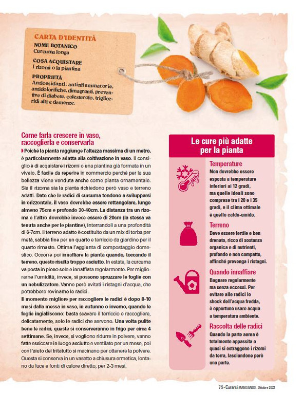 Cur Mang Ott 2022 (12)