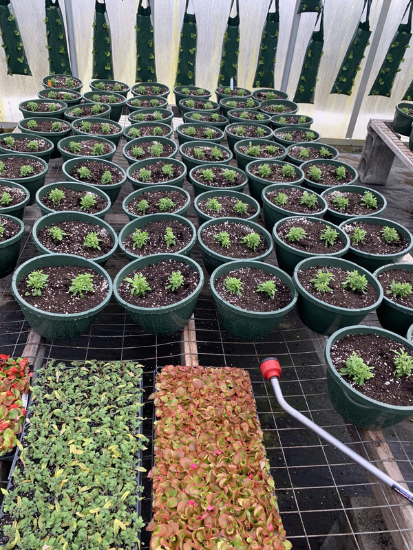 1CB5A03B-A963-4F44-9CF3-5FB1E85C7B58