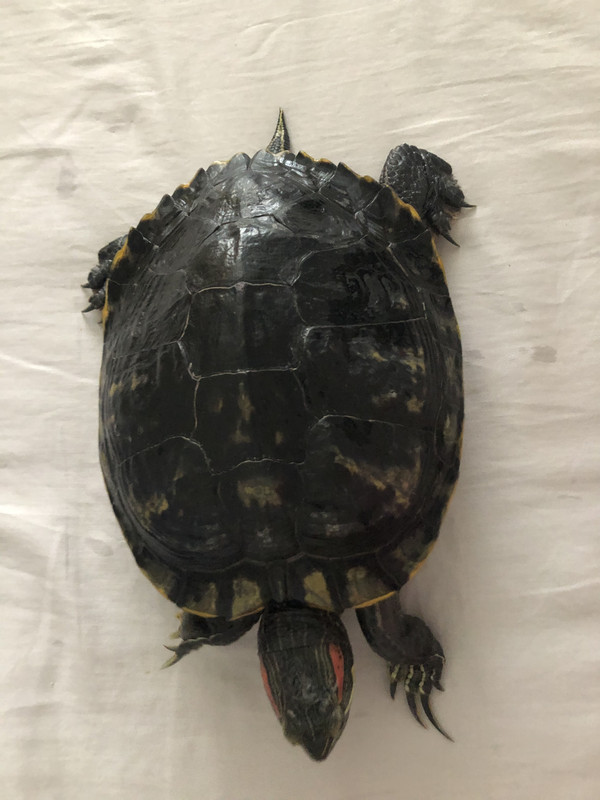 B82D920D-E7C7-406A-8CC6-D6738A460913