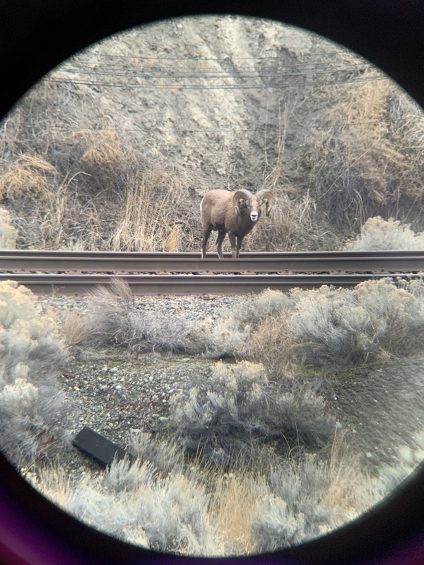 8A38F4B4-D4F0-4C57-B651-0F1973DFA165