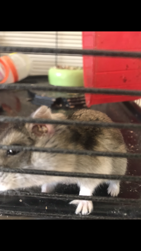 C4CFCB83-0061-4DF4-84F4-61ADC147A62F