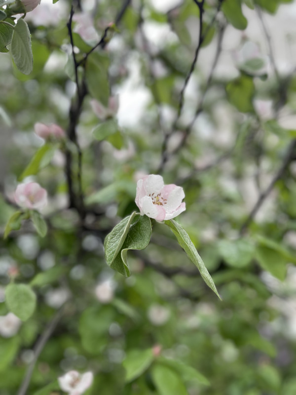 46DEC103-CE12-473E-8531-2648D900787F