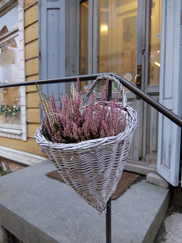 DSCF7073