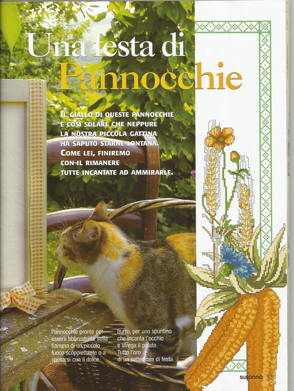 269849-8d2fd-72456432--u487f3