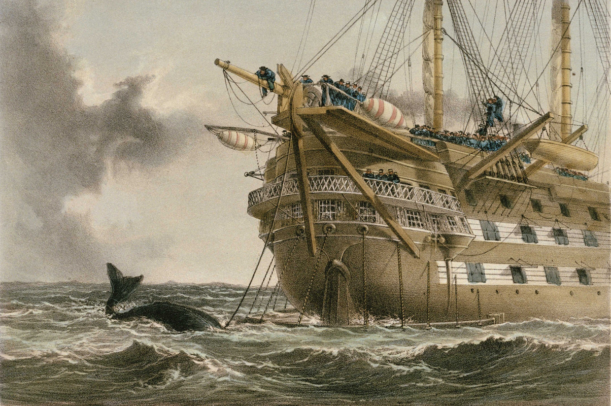 HMS Agamemnon laying_the_Atlant c_Telegraph_cable_in_1858._A_whale_crosses_the_line_RMG_PU6204