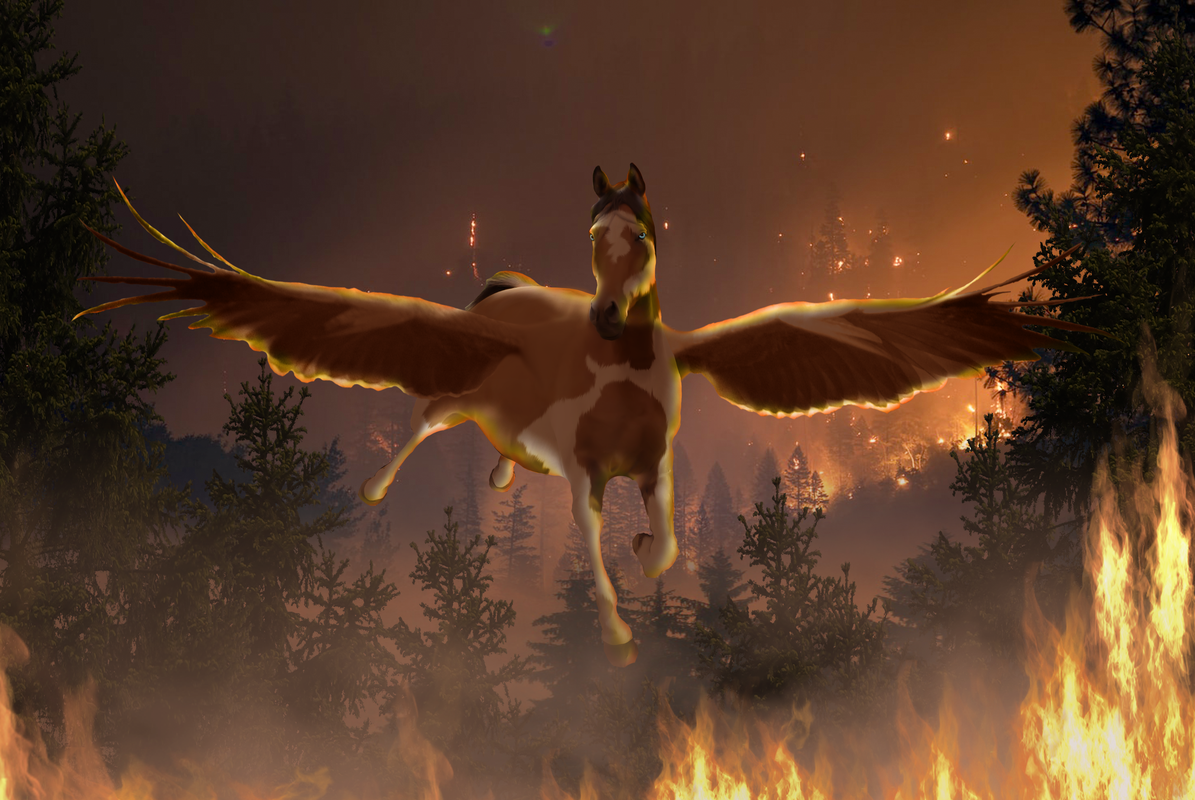 arabian-24-by-colourize-stock-d4dwln9.png