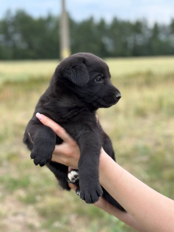 photo_2023-07-23_20-03-31