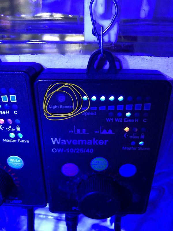 B24308BA-1BC2-4673-BCAE-19172DA14B5F