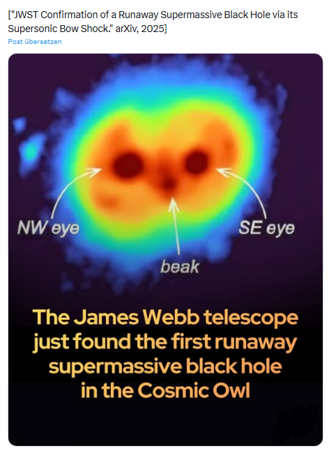 Schwarzes Loch in Cosmic Owl