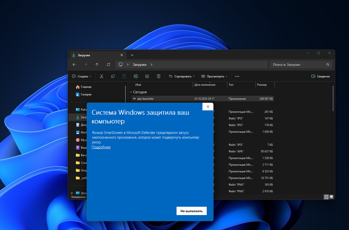 Снимок экрана 2024-10-25 202632