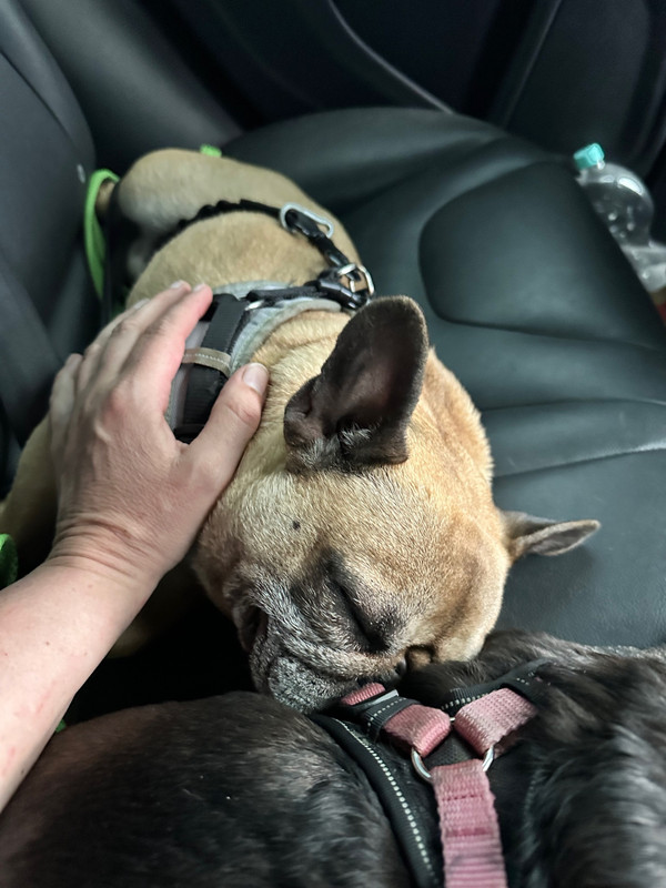 C9B2694D-2530-4B53-BA32-58FD8D7D4642