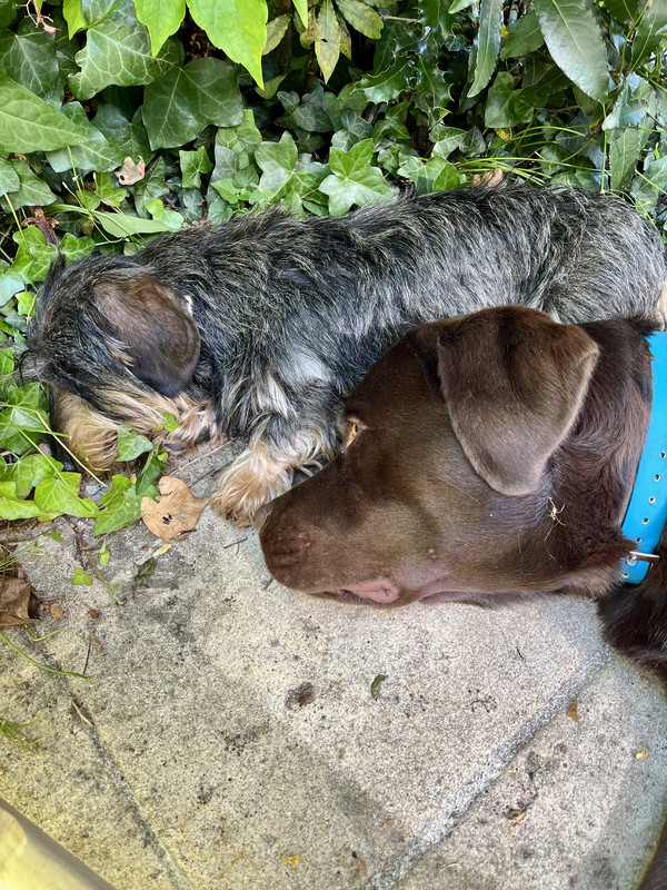 [Image: IMG-20250628-132753.jpg]