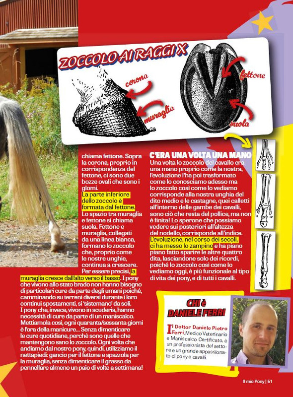 Il Mio Pony (Ott-Nov 2023) 6