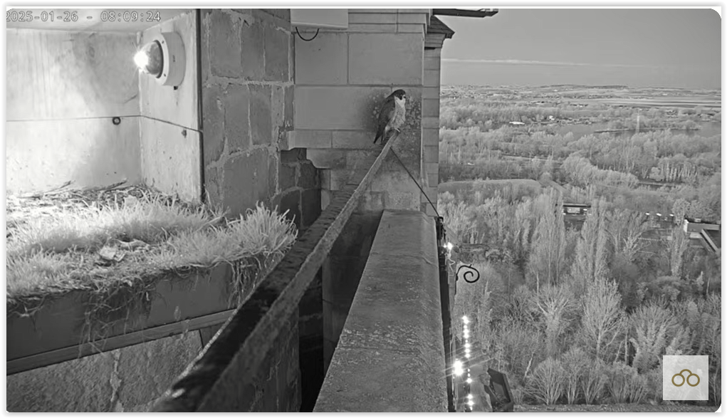 Screen Shot 01-26-25 at 10.59 AM