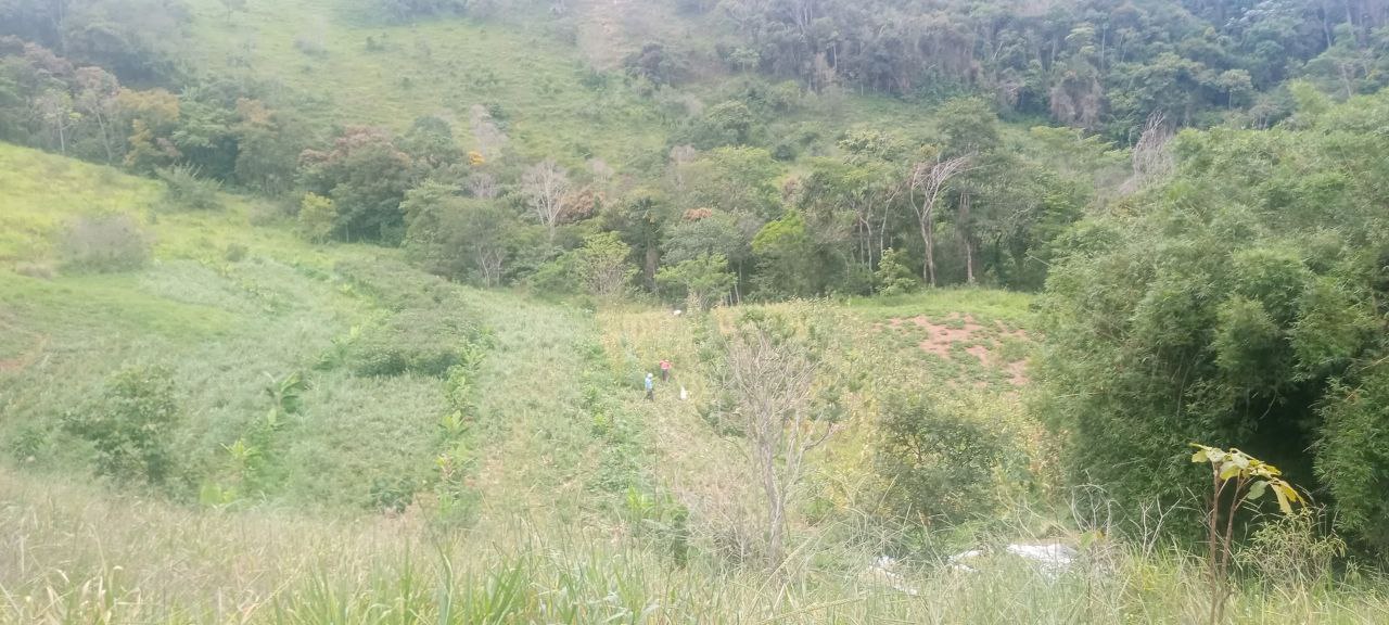 area-de-cima-com-colhedores.jpg