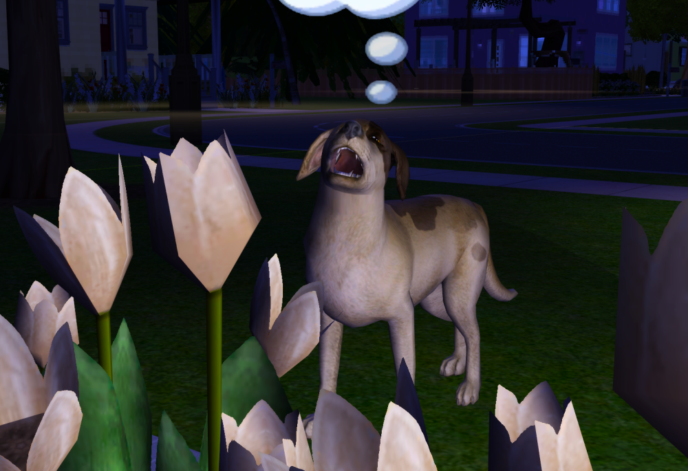 Sims2-EP9-RPC-2021-08-29-21-46-30-30