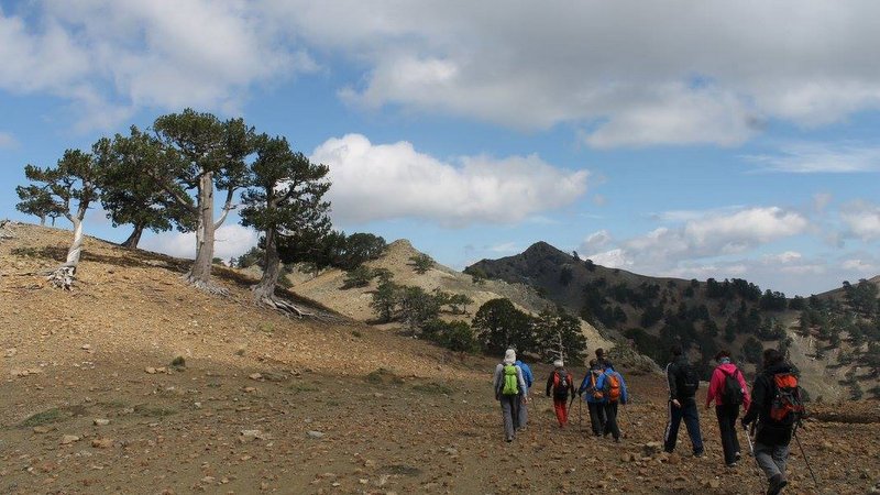 κοζάνη, ειδήσεις, νέα, Πτολεμαΐδα