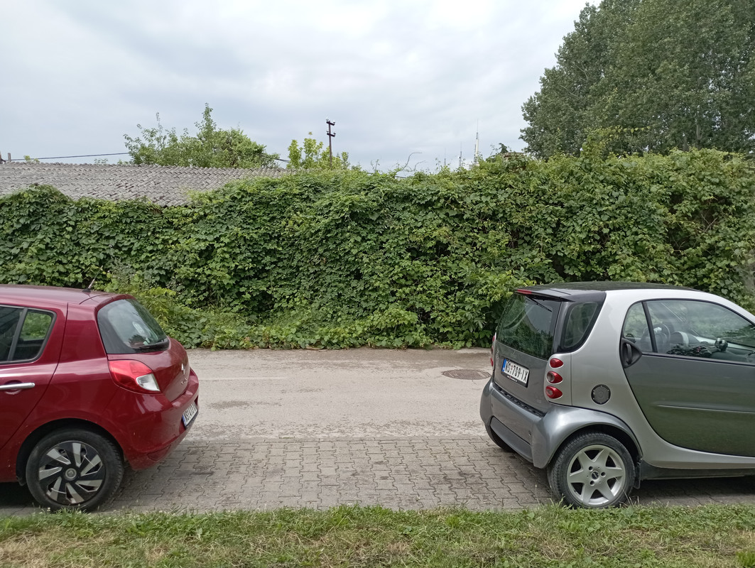 1718192244911