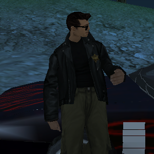 sa-mp-008.png