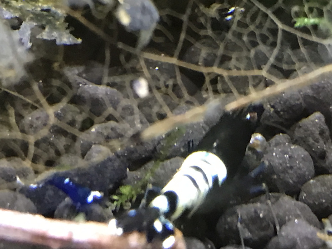 756DCD63-1720-463D-BDB0-A3177FC1FBD1