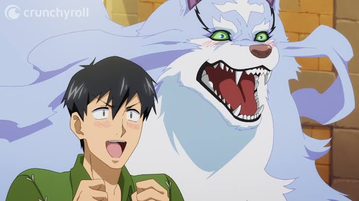 images 26