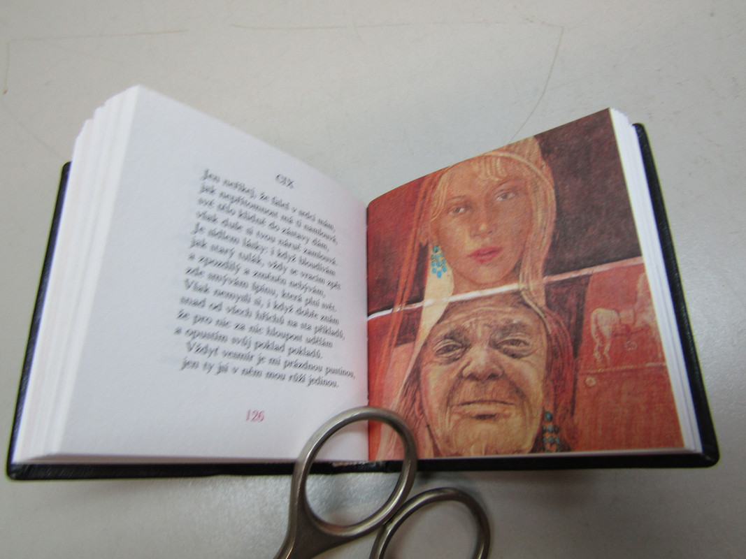 IMG 4242 — Postimages