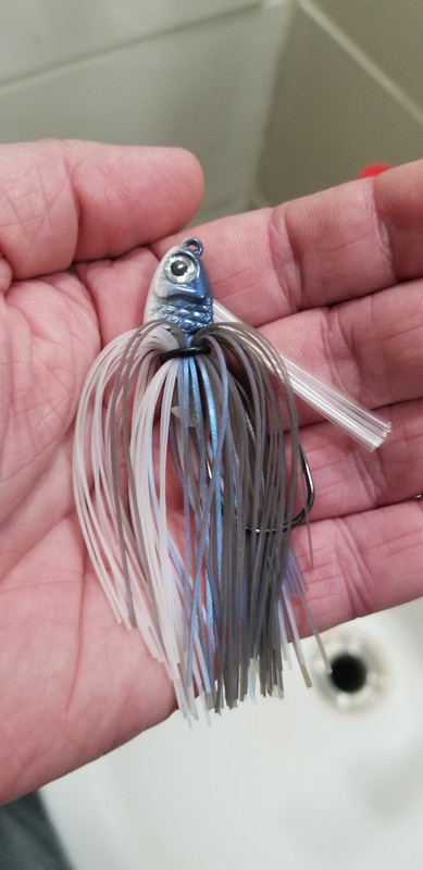 20191005-225339.jpg
