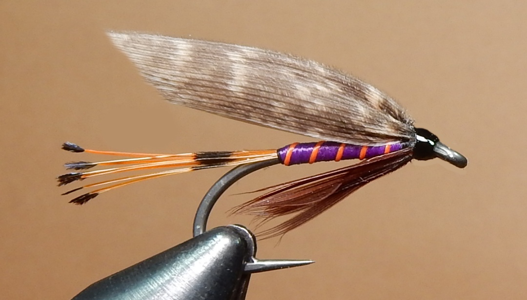 Tuthill-1080.jpg