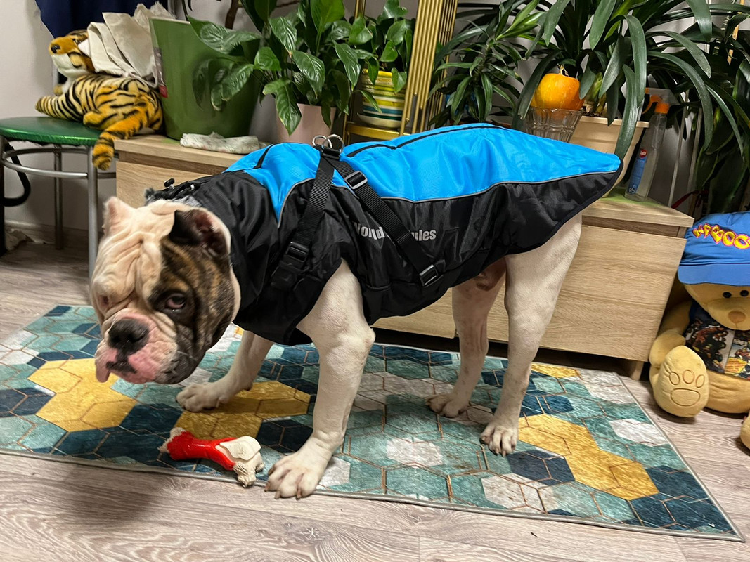 C9DE7AB8-B452-49BE-8953-2C5945CF2793